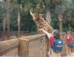 Ruth Bennett McDougal Dorrough; Disneyworld